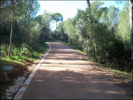 L'Ajuntament de Palma inicia les obres de la segona fase del camí perimetral del Bosc de Bellver 